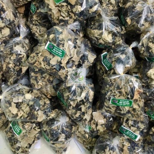 Mua mộc nhĩ rừng tại Cao Bằng Green.