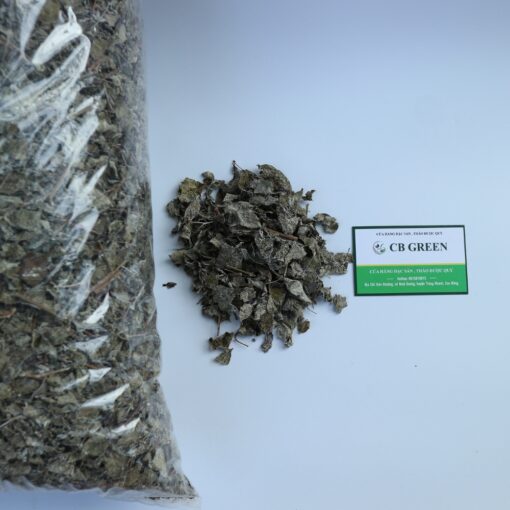 Cây thảo dược này có nhiều công dụng tốt cho sức khỏe, nhất là người bị bệnh về dạ dày.