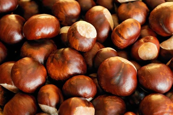Cách luộc hạt dẻ thơm ngon nhất.