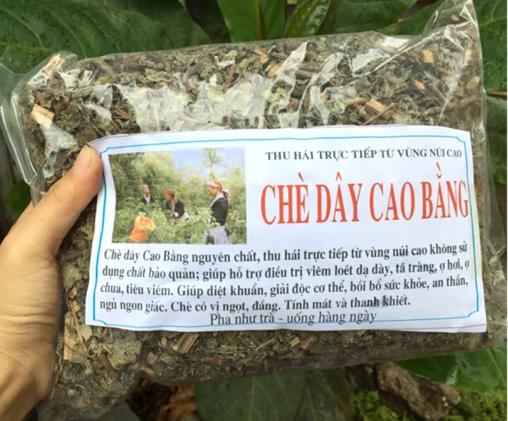 Cách ủ chè dây