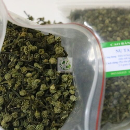Nụ tam thất khô tại Caobanggreen.vn