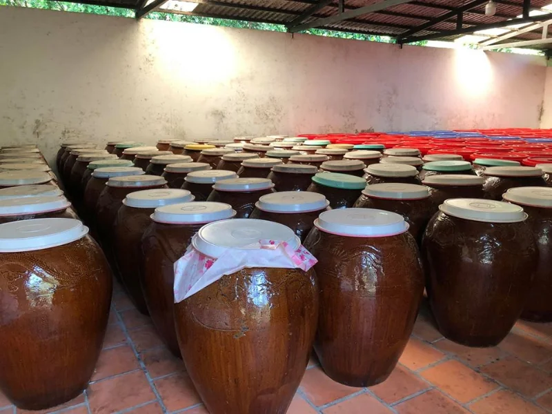 Bảo quản rượu ngâm lâu năm trong chum sành.