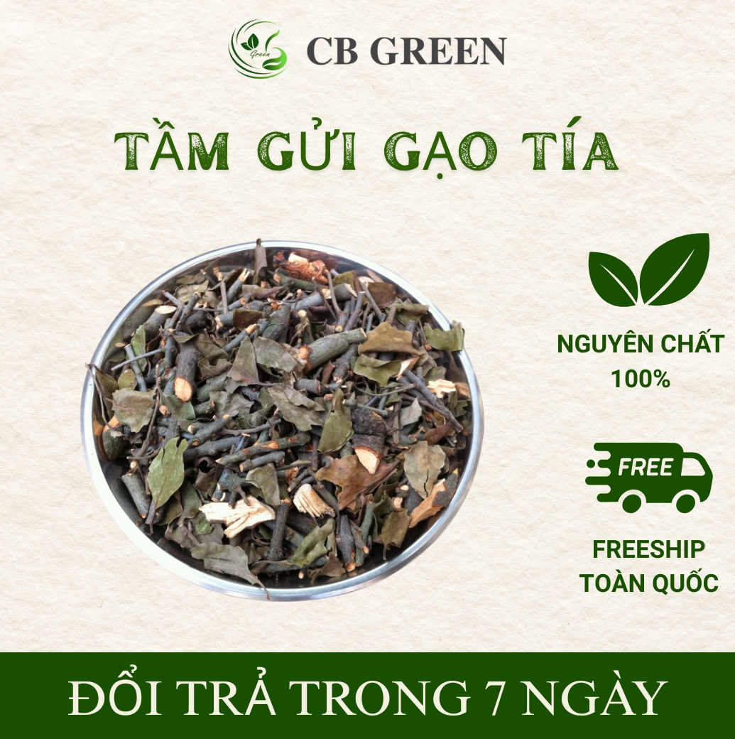 Tầm Gửi Cây Gạo - Dược Liệu Mát Gan, Thải Độc - 1 Kg 6 Tầm gửi gạo tía tại CB Green