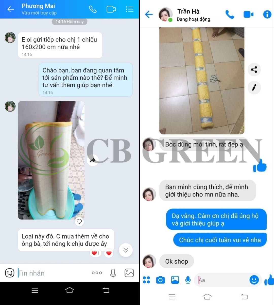 Review chiếu trúc-2