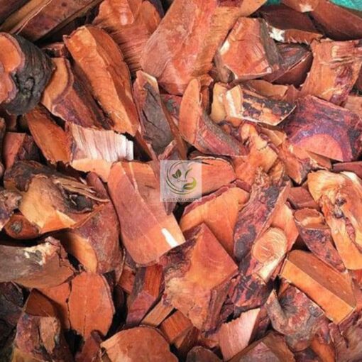 Thành phần của cây mú từn.