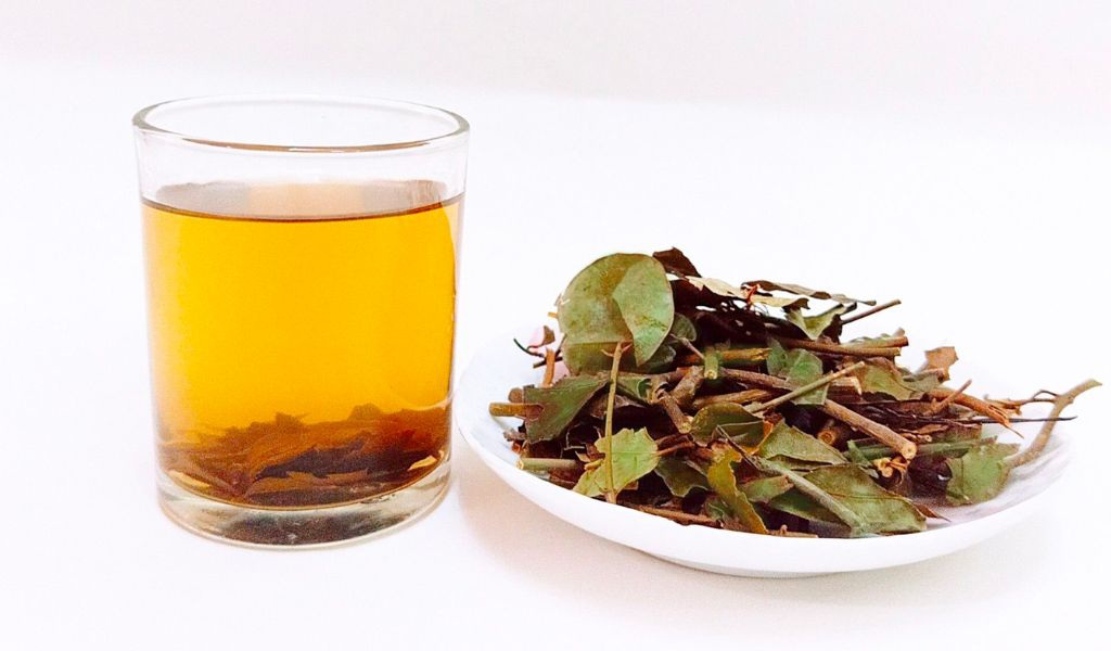 Chè giảm cân - chè vằng