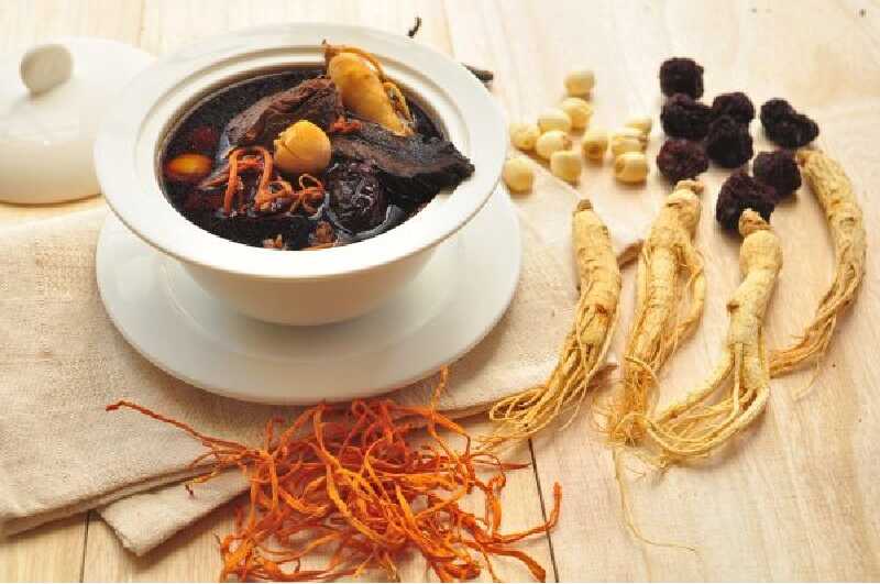 Cách sử dụng đông trùng hạ thảo tươi