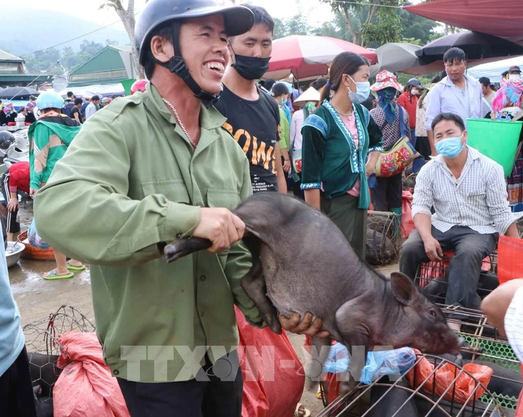 Top 10 đặc sản Tây Bắc đậm đà hương vị núi rừng
