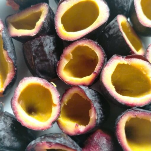 Quả trám đen Cao Bằng