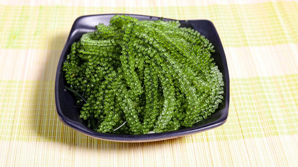 Cách bảo quản rong nho tươi trong tủ lạnh