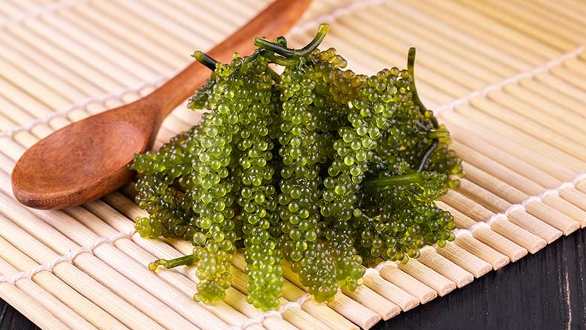 Cách bảo quản rong nho tươi trong tủ lạnh