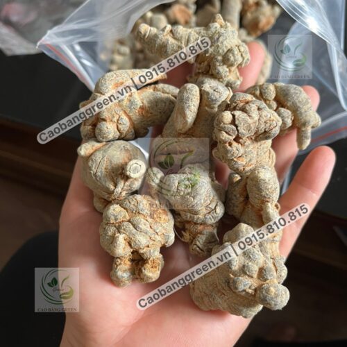 Mua Củ tam thất khô tại Caobanggreen.vn.