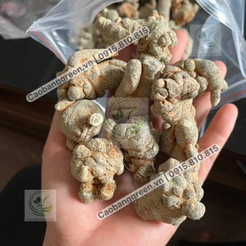 Mua Củ tam thất khô tại Caobanggreen.vn.