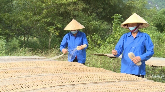 Miến dong Cẩm Thuỷ Thanh Hoá - Đặc sản làng xăm