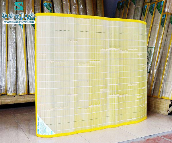 Nên mua chiếu điều hòa hay chiếu trúc?
