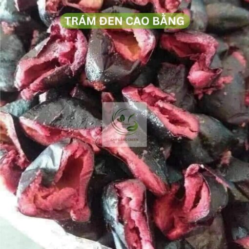 Quả trám đen Cao Bằng đã om sẵn chuẩn nếp rừng hàng ta.