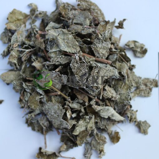 Mua chè dây Cao Bằng chất lượng chuẩn gốc