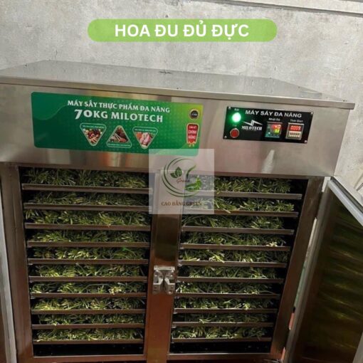 Quy trình sấy hoa đu đủ