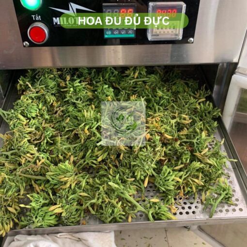 Hoa đu đủ sấy khô
