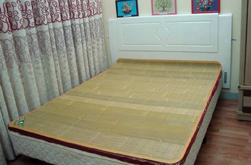 Chiếu trúc mùa hè