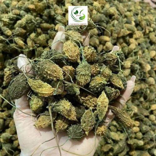 Khổ qua rừng nguyên trái tại CB GREEN