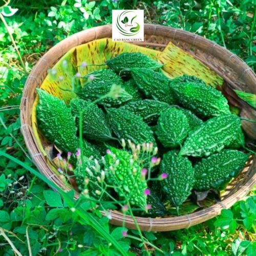 Khổ qua tươi