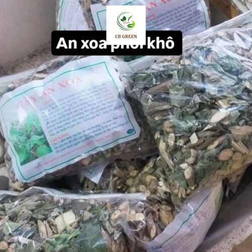 Cây An Xoa – Thảo Dược Quý Cho Gan Từ Thiên Nhiên - 1Kg - Hình ảnh 3