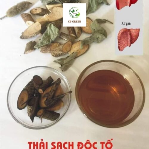 Cây An Xoa – Thảo Dược Quý Cho Gan Từ Thiên Nhiên - 1Kg - Hình ảnh 4