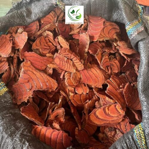 Cây Cỏ Máu – Dược Liệu Quý Bổ Huyết Từ Thiên Nhiên - 1 Kg - Hình ảnh 2