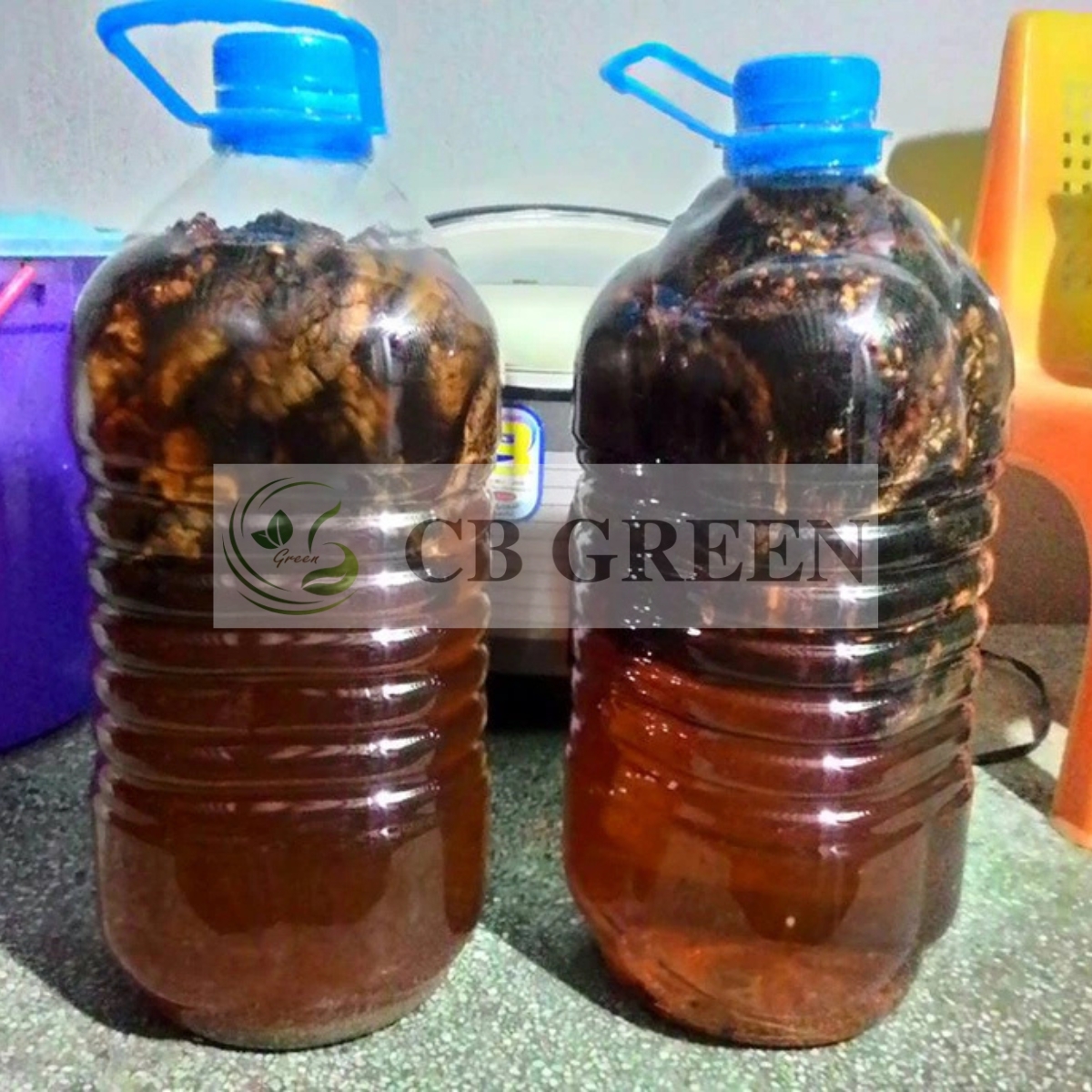 Chuối hột rừng ngâm rượu