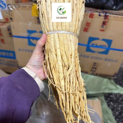 Đảng Sâm Khô – Vị Thuốc Bổ Quý Cao Bằng - 500g - Hình ảnh 3