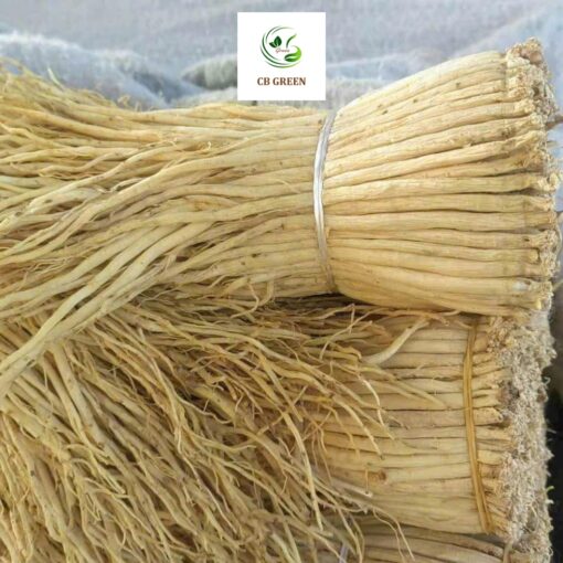 Đảng Sâm Khô – Vị Thuốc Bổ Quý Cao Bằng - 500g - Hình ảnh 2
