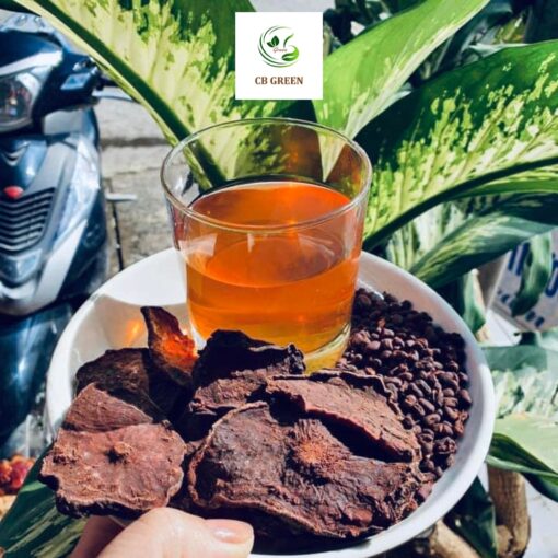 Hà Thủ Ô Đỏ – Vị Thuốc Quý Từ Thiên Nhiên - 1 Kg | CB GREEN - Hình ảnh 4
