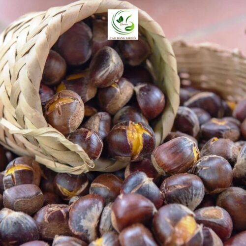 Hạt Dẻ Trùng Khánh – Tinh Hoa Đặc Sản Cao Bằng - 1 Kg - Hình ảnh 3