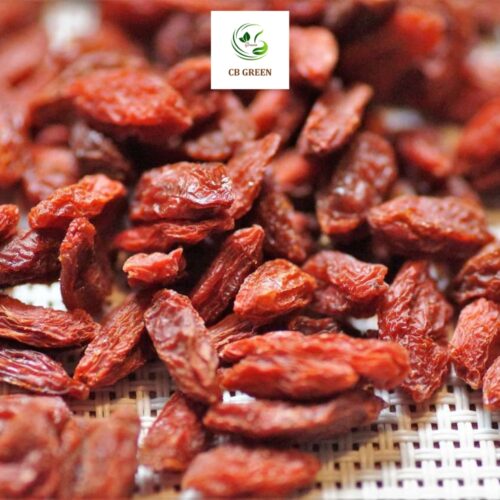 Kỷ Tử Đỏ – Thảo Dược Vàng Cho Sức Khỏe Từ Thiên Nhiên - Hình ảnh 2