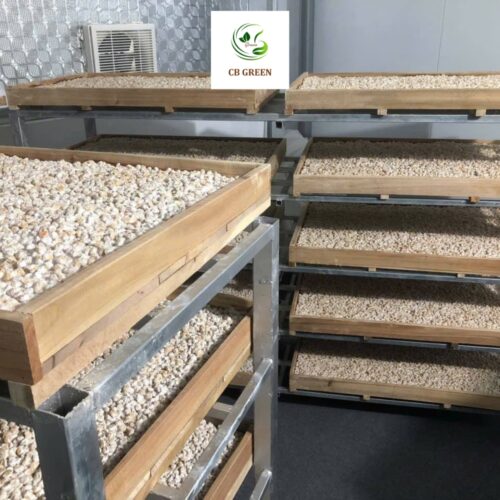 Rượu Ngô Men Lá Cao Bằng – Tinh Hoa Rượu Truyền Thống - Hình ảnh 6