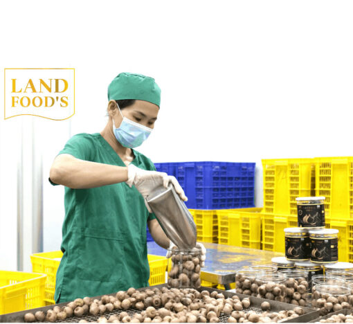 Tỏi Đen Cao Cấp LANDFOOD'S Xuất Khẩu - Hình ảnh 7