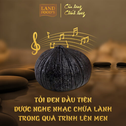 Tỏi Đen Cao Cấp LANDFOOD'S Xuất Khẩu - Hình ảnh 3