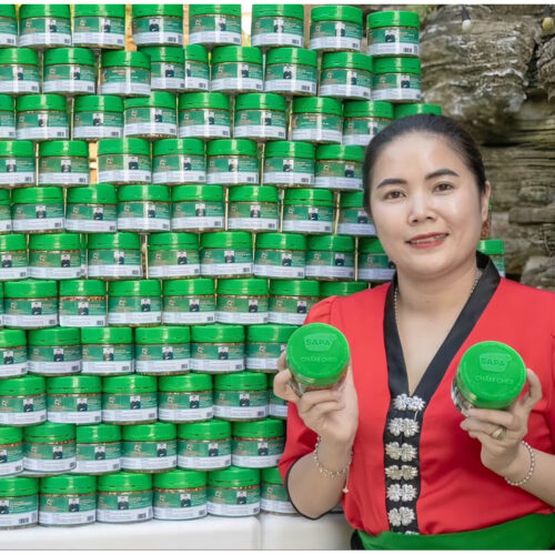 Hạt dổi rừng
