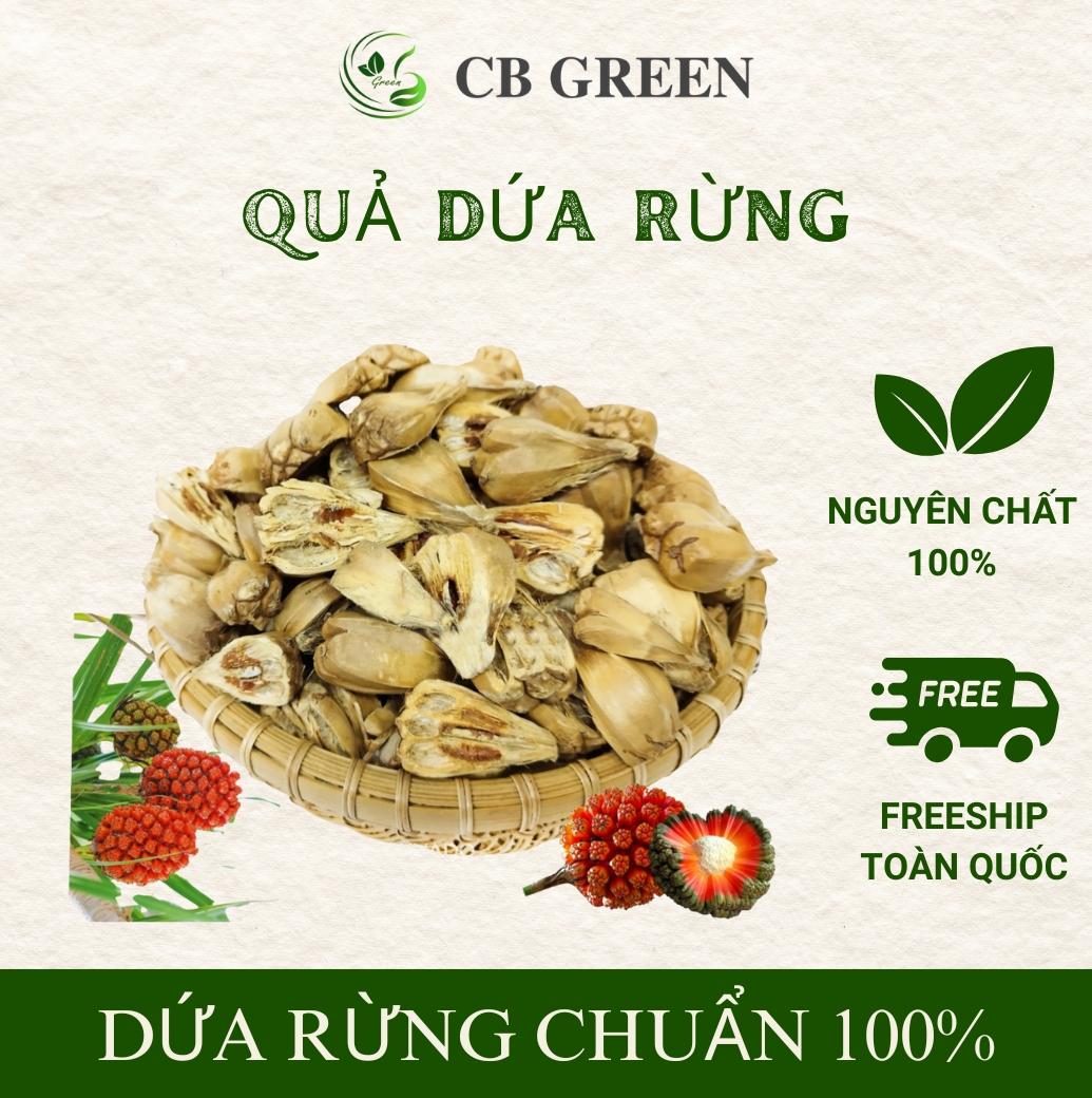 Quả Dứa Rừng (Dứa Dại)– Hỗ Trợ Điều Trị Sỏi Thận - 1 Kg 7 Quả dứa rừng (dứa dại) tại CB Green.