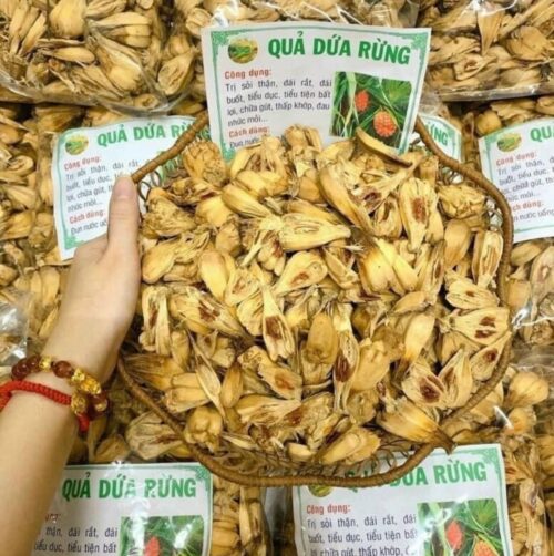 Quả dứa rừng (dứa dại) tại CB Green.