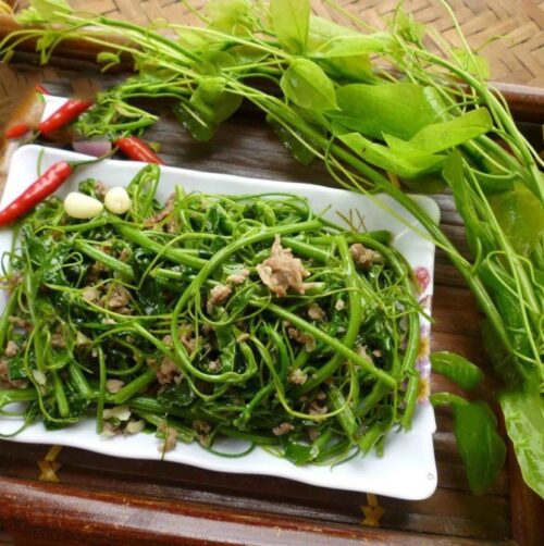 Món ngon rau dạ hiến (bò khai)