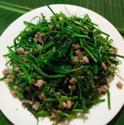 Lợi ích của rau dạ hiện (bò khai)