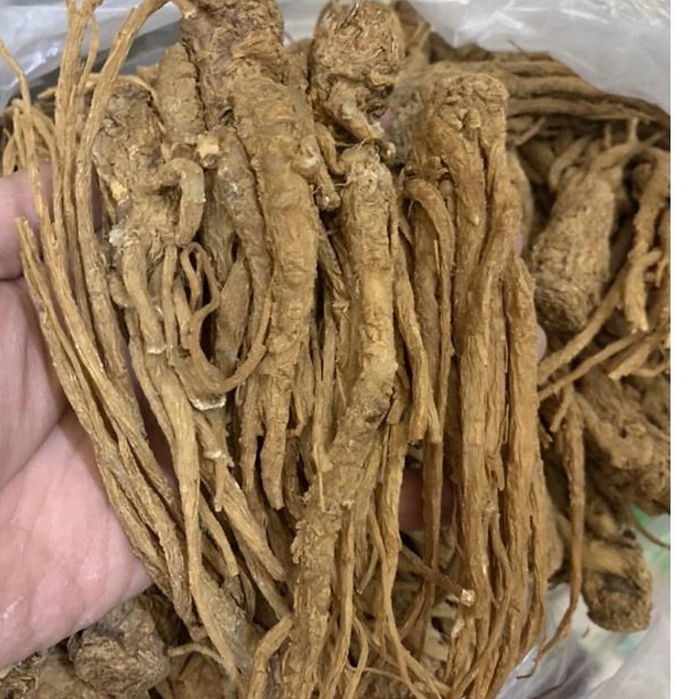 Sâm Đương Quy – 500g 6 Sâm đương quy