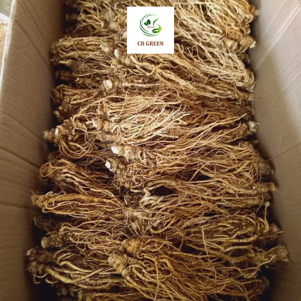 Sâm Đương Quy – 500g 4 Sâm đương quy