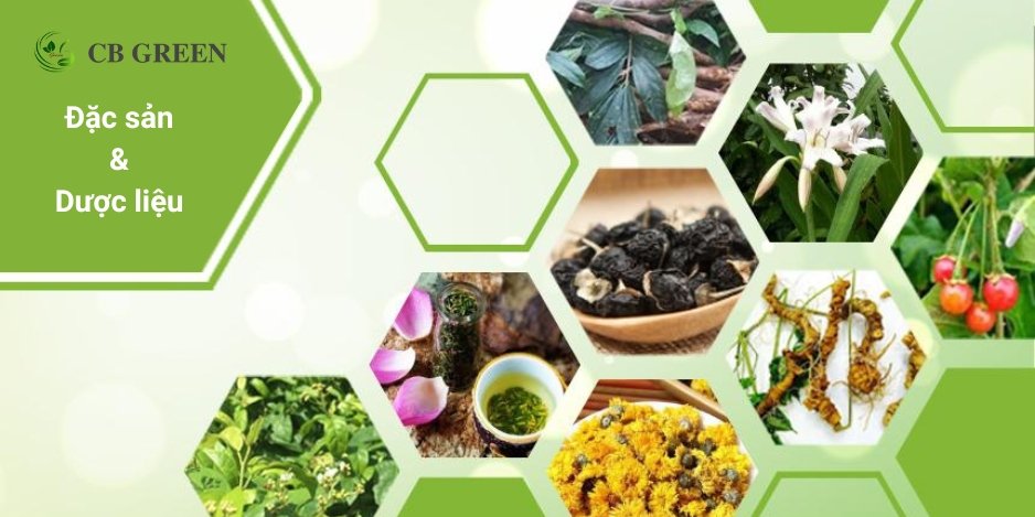 CB GREEN - Đặc Sản & Dược Liệu Từ Thiên Nhiên 16 banner-cbgreen