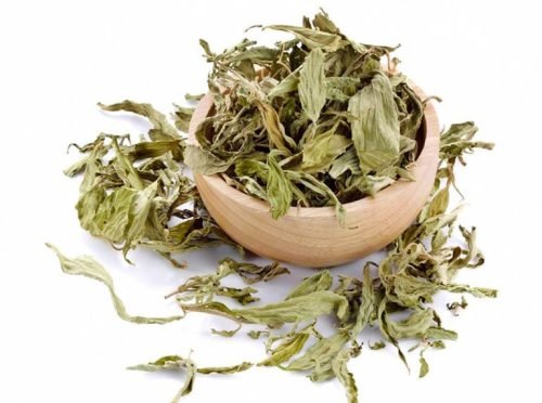 Cây cỏ ngọt khô nguyên chất tại CB Green